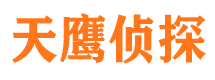 永德市侦探公司